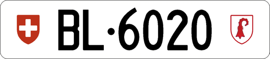 BL 6020