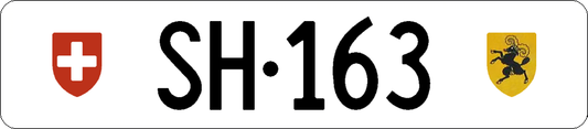 SH 163