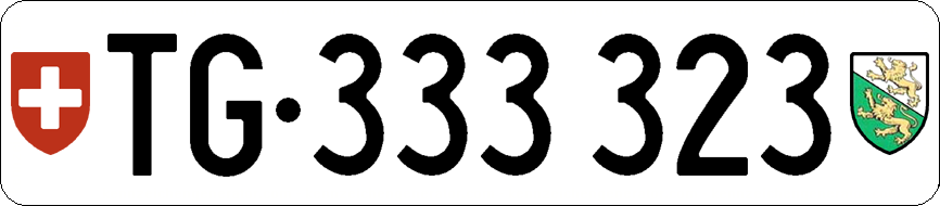 TG 333 323