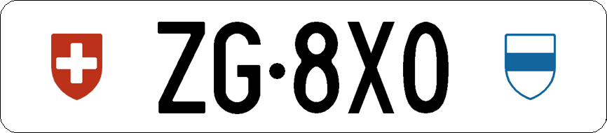ZG 8X0