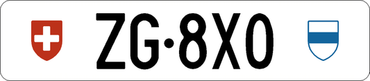 ZG 8X0